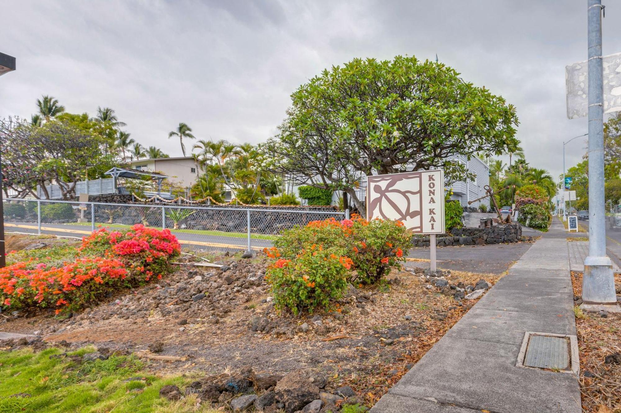 Kona Kai Haven With Pool Access, Walk To Beach! Kailua-Kona Exteriör bild